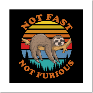 Not Fast Not Furious Posters and Art